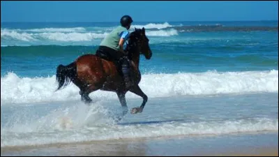 L’équitation est…