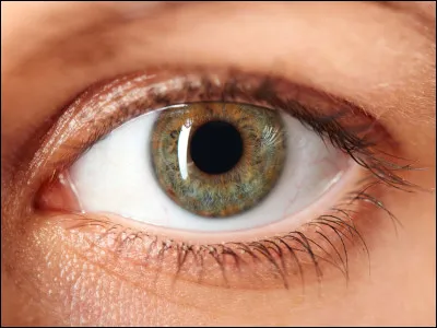 De quelle couleur sont ses yeux ?
