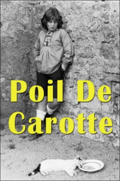 Dans le roman "Poil de carotte" le personnage principal est ...