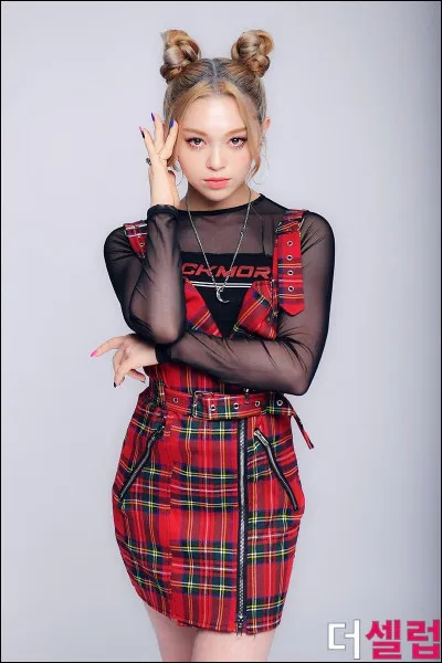 Qui prendrais-tu comme rappeuse ?