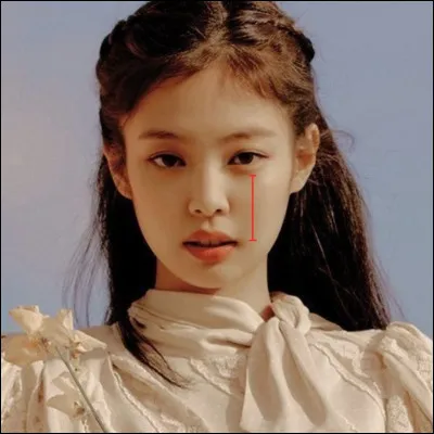 Qui prendrais-tu comme visuelle ?