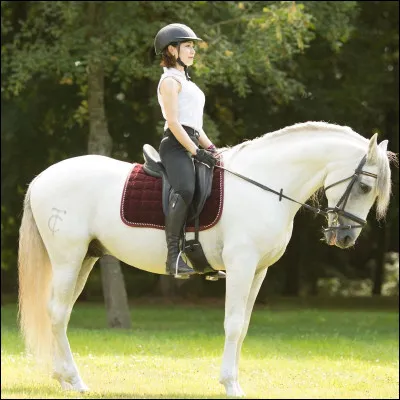 Pour toi, l'équitation est-ce un sport ?