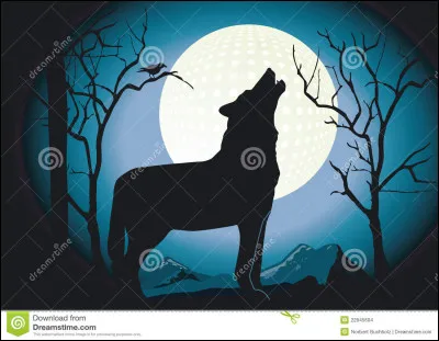 Quel est ton animal préféré ?