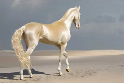 Et enfin pour voir si tu as compris, dis moi cette robe !