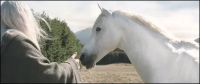 "Cheval. Legolas. Eomer." =