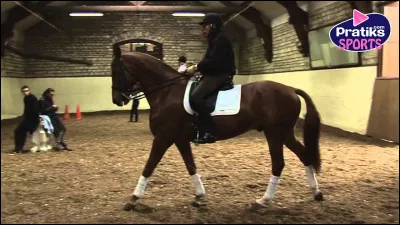 Quel est le mécanisme du pas ?