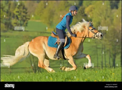 Quelle est la bonne position à avoir ? (2)