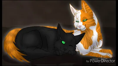 Quel rôle préférerais-tu avoir dans ton clan ?