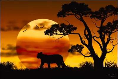 Où se situe Washington ?