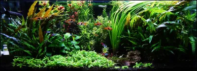 Où se situe Le Caire ?