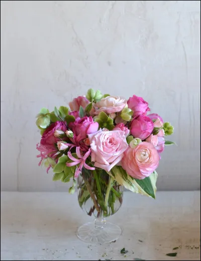 Où se situe Amsterdam ?