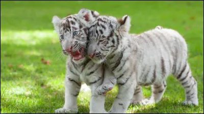 Où se situe Londres ?