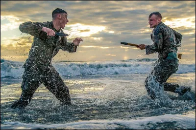Pratiques-tu un sport de combat ?