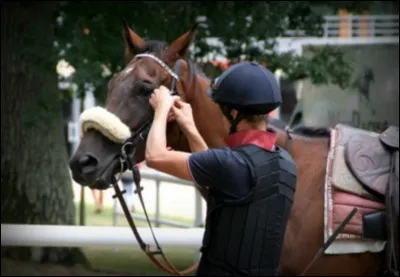 Pour passer son galop 2 il faut :