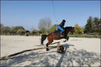 Pour passer son galop 3 il faut :