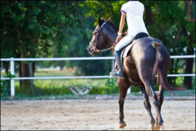 Pour passer son galop 4 il faut :