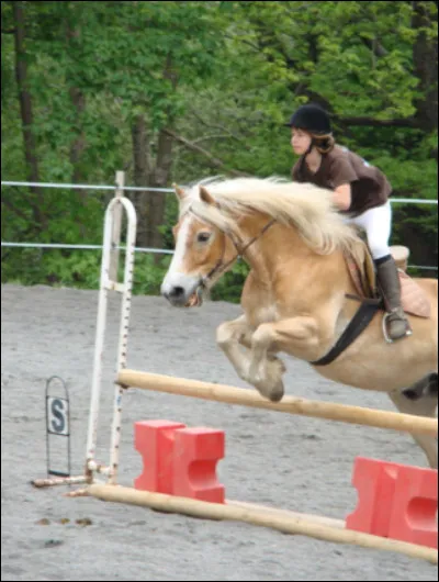 Pour passer son galop 7 il faut :