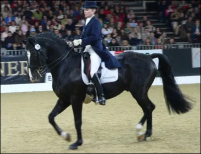 Et enfin pour passer son galop 8 il faut :