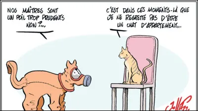 Comment s'appelle ce champignon, qui parasite les insectes de l'intérieur et prend possession de leur cerveau ?