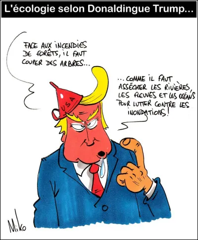 Que peut nous transmettre le pou, à part le fait de nous prendre la tête ?