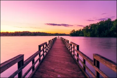 Quel acteur ne voit-on pas dans le film "Un pont trop loin" ?