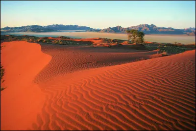 Où le désert du Kalahari est-il situé ?