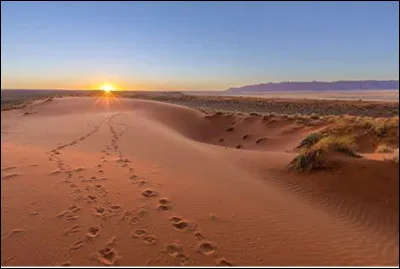 Quel est ce désert en K qui s'étend sur le Botswana, la Namibie et l'Afrique du Sud, il a une superficie d'environ 900 000 km2 ?