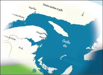 Quel est le nom de ce golfe en S situé au Canada dans lequel le fleuve du même nom se déverse pour rejoindre l'océan Atlantique ?