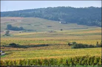 Quelles villes trouve-t-on en Côte-d'Or ? (2)