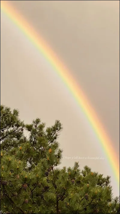 Quelle saison préfères-tu ?