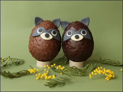 Que représentent ces chocolats ?