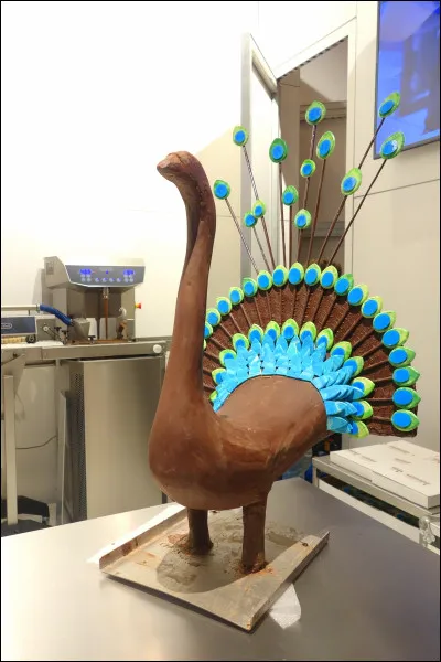 Quel est cet animal ?