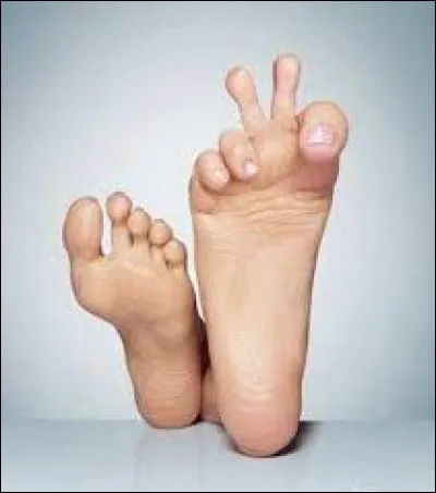 Quelle partie du corps associe-t-on au mot "pied" dans une expression qui signifie "on emploie tous les moyens pour obtenir quelque chose" ?