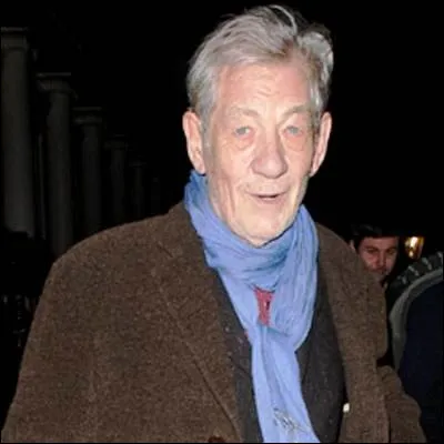 Comment sappelle le sorcier incarné par Ian McKellen dans la saga "Le Seigneur des Anneaux" ?