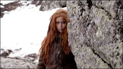 Quel est le MBTI de la Dame du lac ?