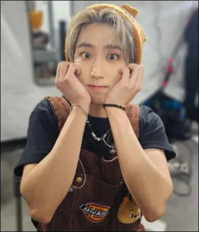 Quelle est la couleur préférée de HAN ?