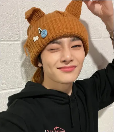 Quelle est la couleur préférée de I.N ?