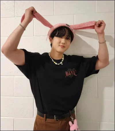 Quelle est la couleur préférée de Changbin ?