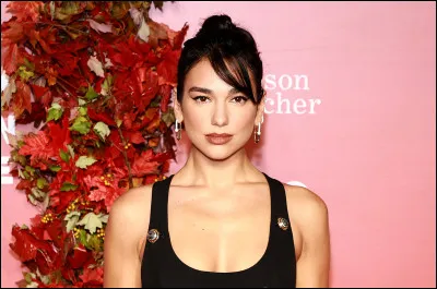 Quel meme devenu viral a caus&eacute; une grande douleur &agrave; Dua ?