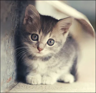 Quel est ton moment préféré de la journée ?
