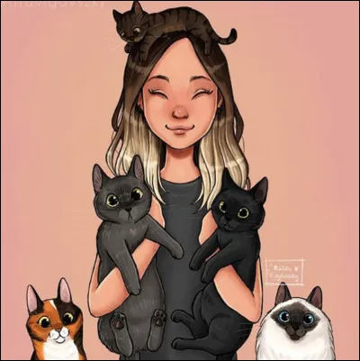 Combien de races de chats connais-tu ?