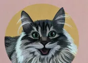Test Es-tu fait pour la vie de chat ? Le rsultat peut vous surprendre