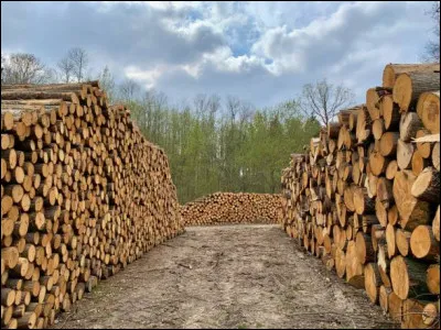 Lequel de ces livres a été prix Goncourt 1964 ?