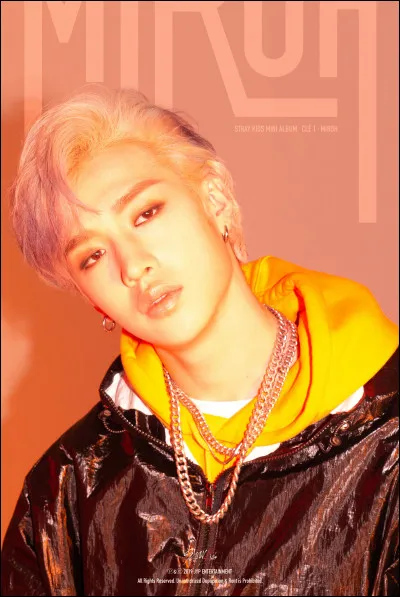 Qui a encouragé Bang Chan a passé les auditions de JYP Entertainment ?