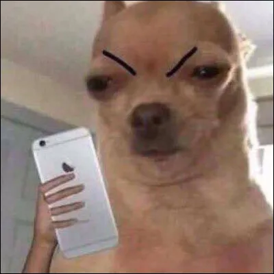 Quelle est la plus grosse méchanceté que tu as faite à un membre de ta famille ?