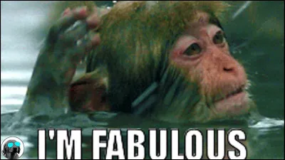 Laquelle de ces célébrités voudrais-tu être ?