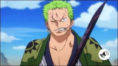 Quel est le passe temps préféré de Zoro ?
