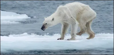 Quelle est la conséquence majeure du réchauffement climatique ?