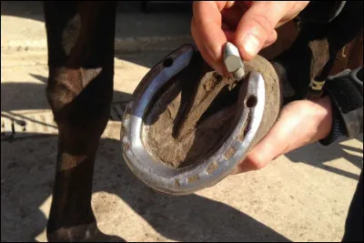 Comment s'appellent les trous dans le fer qui servent à mettre des crampons ?