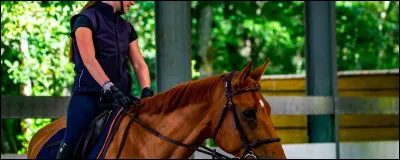 À l'issue d'une demi volte...